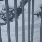 ２０１８.2.13　豪雪